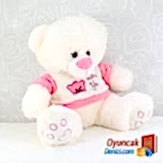 Hediye 2 (ayıcık renkleri değişken olabilir)