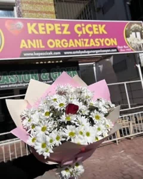 Papatyalı Tek Gül Buketi