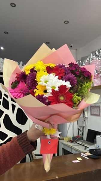 Kır Çiçeği Alemi