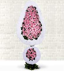 Pembe Düğün Çiçeği