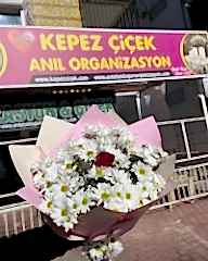 Papatyalı Tek Gül Buketi