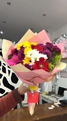 Kır Çiçeği Alemi